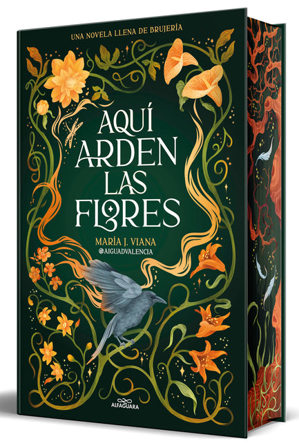 Aquã- Arden Las Flores (Ediciã3n Cantos Pintados) / Flowers Burn Here (Sprayed Edges Edition)