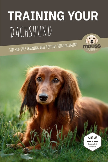 Training Your Dachshund: Step-by-Step Training with Positive Reinforcement