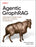 Agentic Graphrag: Integrating Knowledge Graphs, Reasoning, and Agency for Enterprise AI