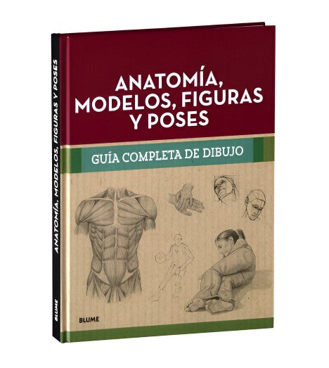 Guía completa dibujo: Anatomía, modelos, figuras y poses