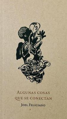 Algunas cosas que se conectan-Joel Feliciano-Libros787.com