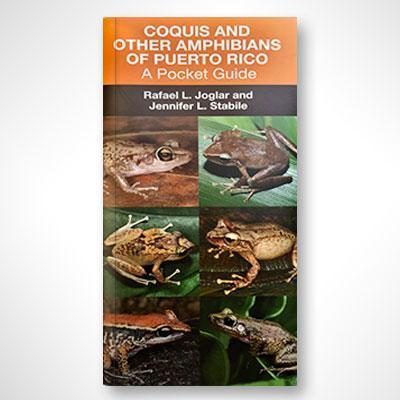 Coquis and Other Amphibians of Puerto Rico. A Pocket Guide-Rafael Joglar & Jennifer Stabile-Libros787.com