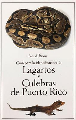 Guía para la identificación de lagartos y culebras de Puerto Rico-Juan A. Rivero-Libros787.com